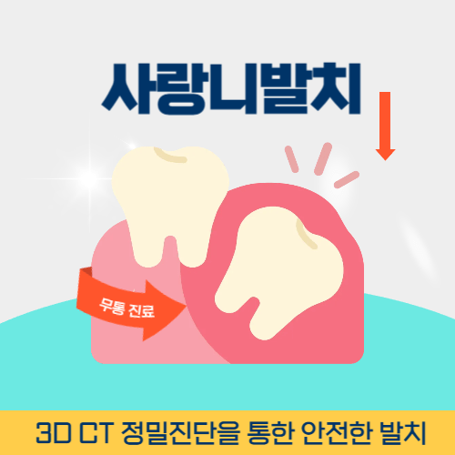 동해치과 동해시 치과 사랑니 발치